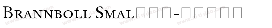 Brannboll Smal转换器字体转换
